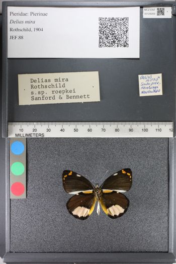 Media type: image;   Entomology 128269
